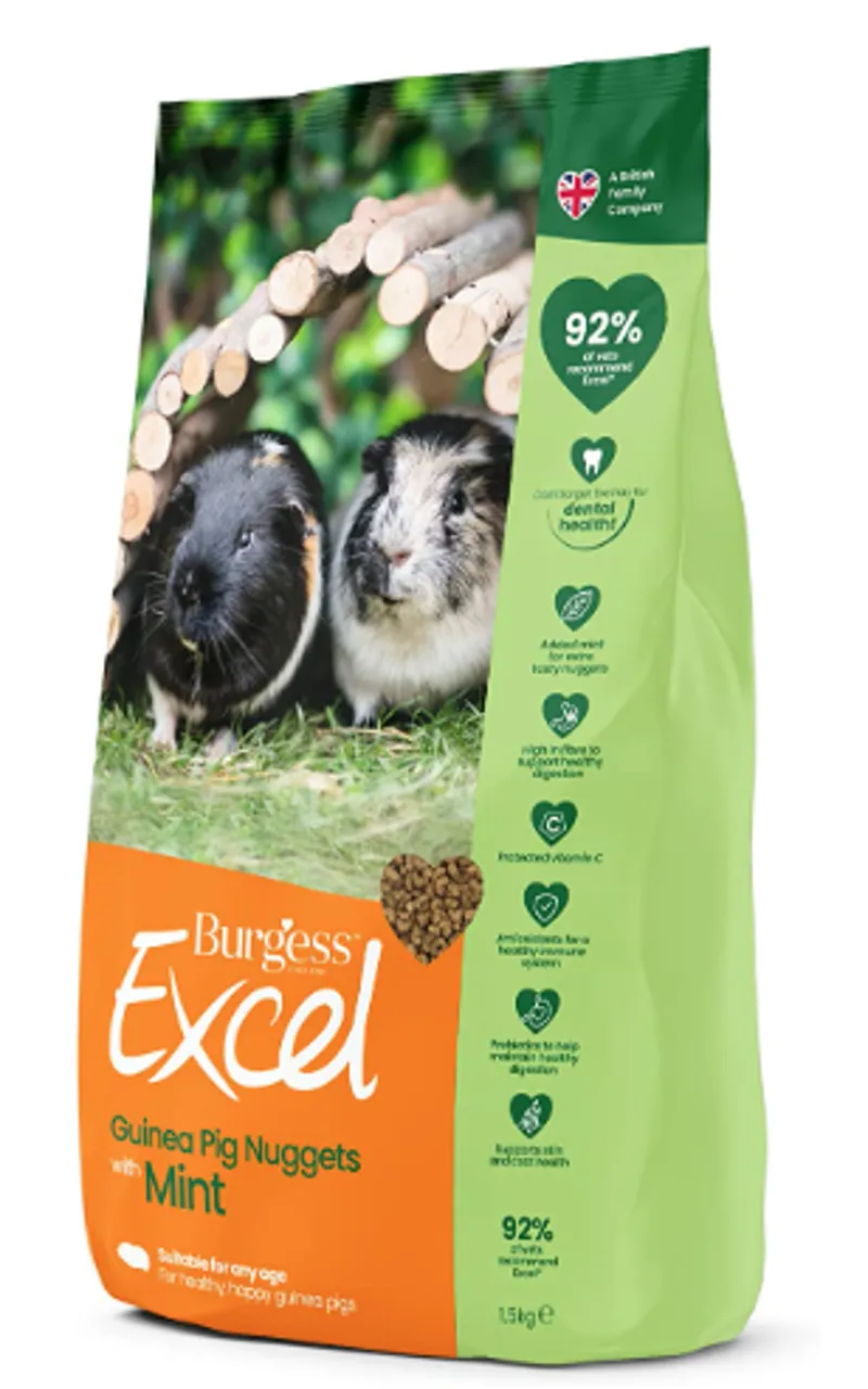 Excel Guinea Pig Mint Nug 1.5KG